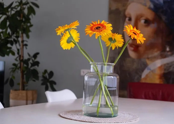 Admiraal Egmond aan Zee